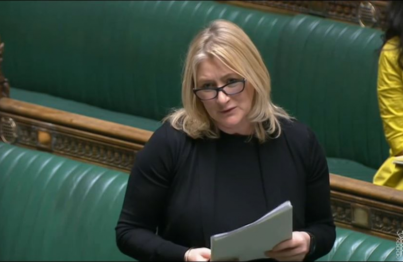 Suzanne Webb MP at the Third Reading of the Motor Vehicles (Compulsory Insurance) Bill