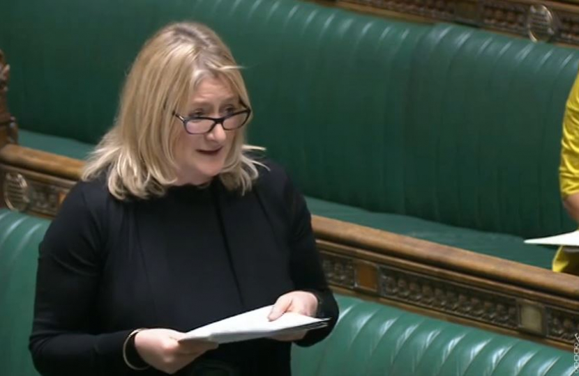 Suzanne Webb MP at a debate on the Cultural Objects (Protection from Seizure) Bill