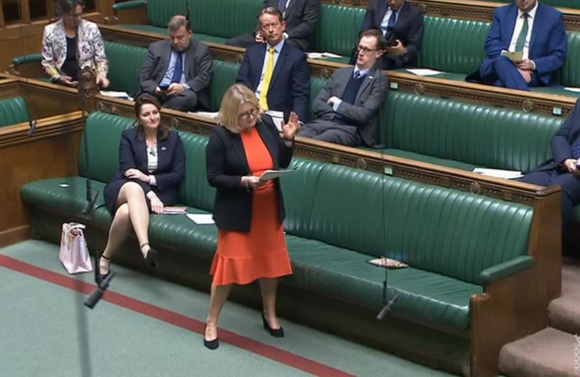 Suzanne Webb MP at International Trade Questions